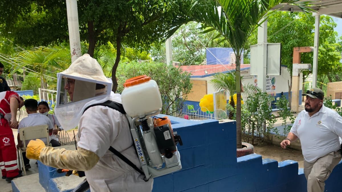 ataque de abejas a alumnos de primaria en culiacan lugar