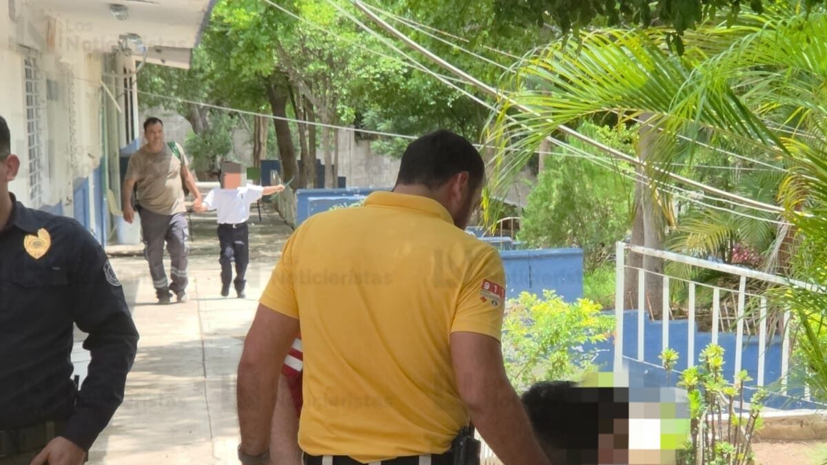 ataque de abejas a alumnos de primaria en culiacan peques