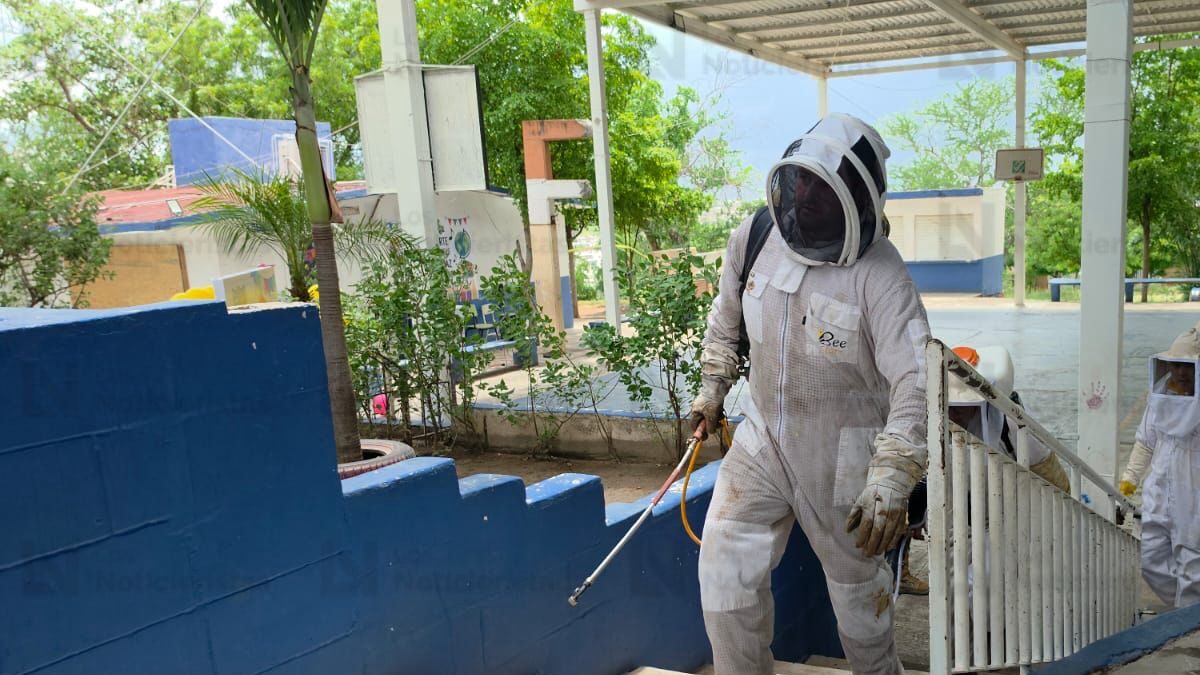 ataque de abejas a alumnos de primaria en culiacan sin
