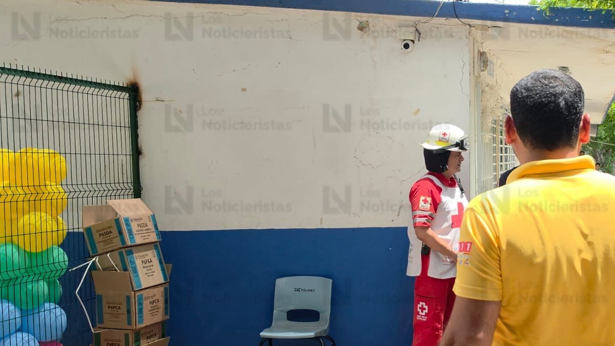 ataque de abejas a alumnos de primaria en culiacan sinaloa