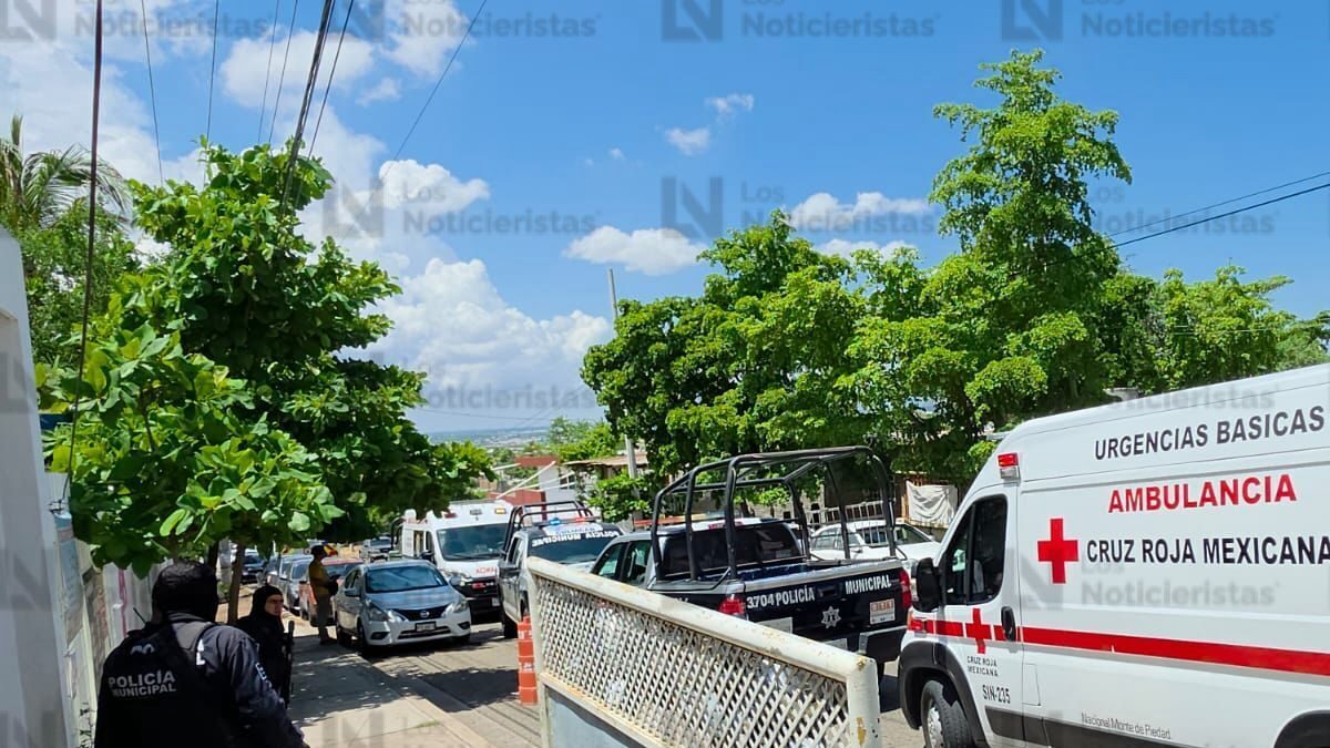ataque de abejas a menores de una primaria de culiacan alumnos