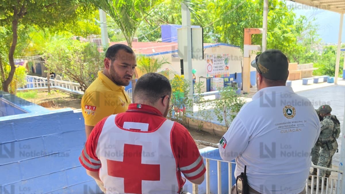 ataque de abejas a menores de una primaria de culiacan cruz roja