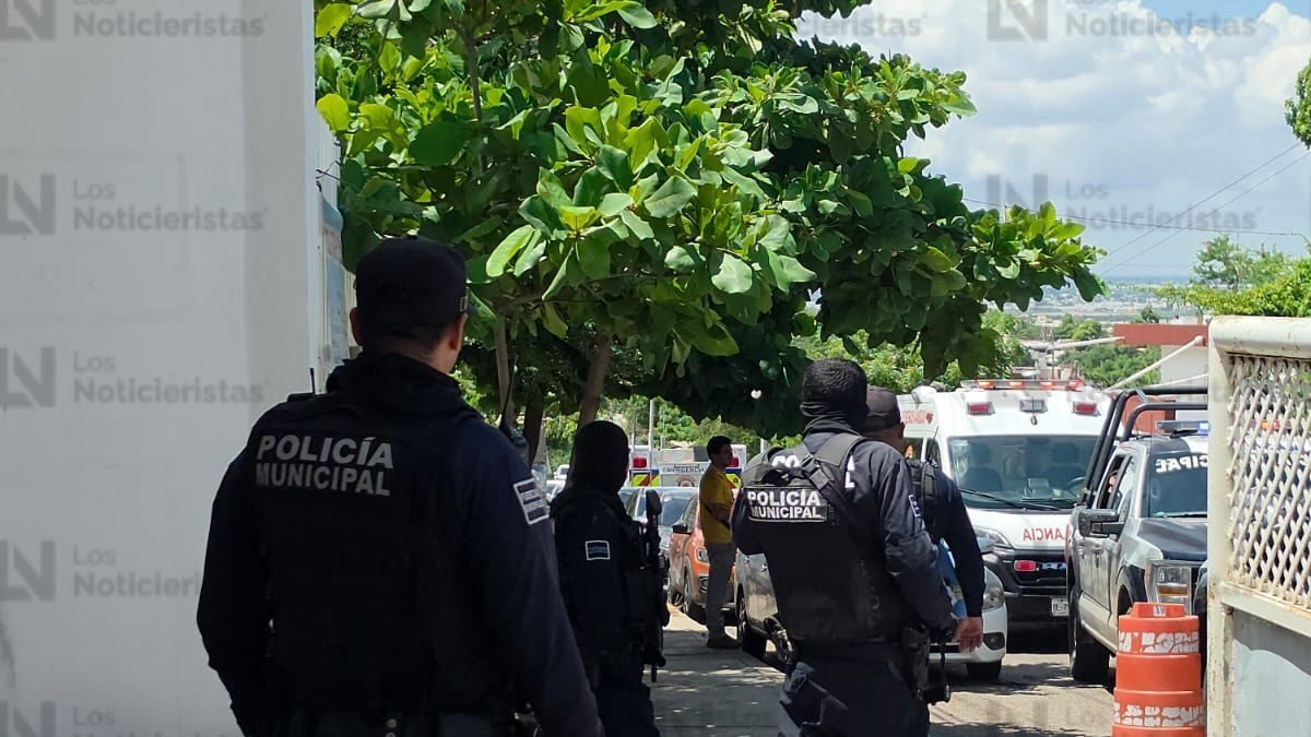 ataque de abejas a menores de una primaria de culiacan municipales