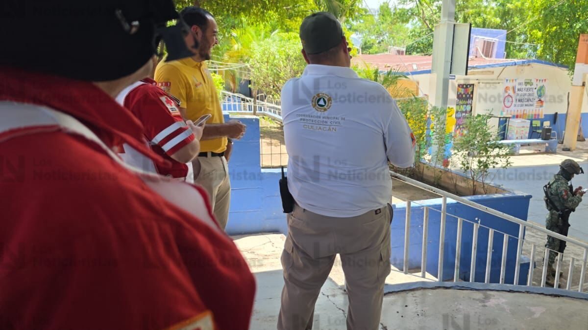 ataque de abejas a menores de una primaria de culiacan pc
