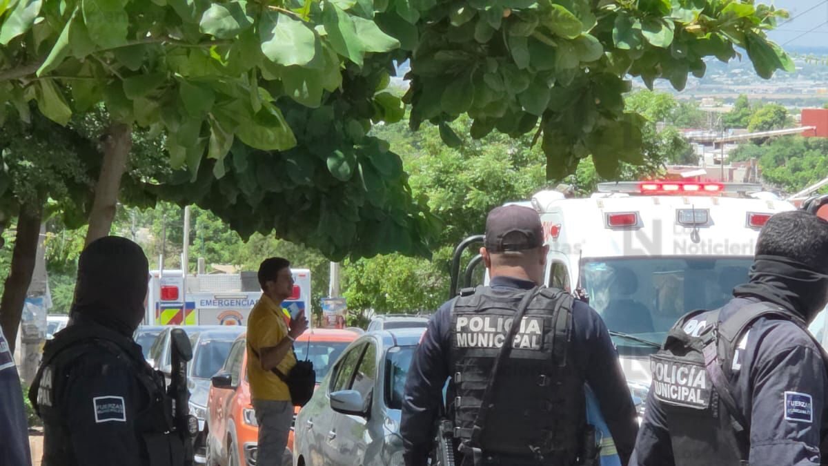 ataque de abejas a menores de una primaria de culiacan sin