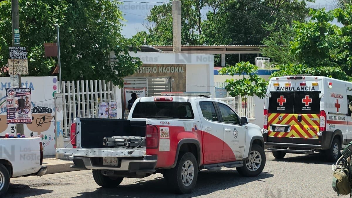 ataque de abejas a menores de una primaria de culiacan sinaloa