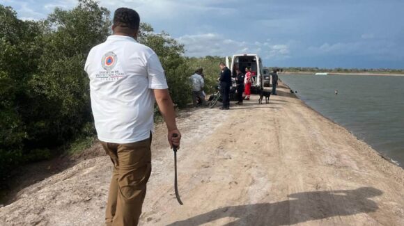 Protección Civil crea grupo especial para atender hasta 20 reportes de abejas al día en Guasave, Sinaloa