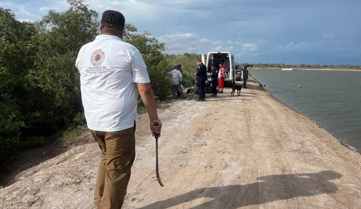 Ataque de abejas en Guasave