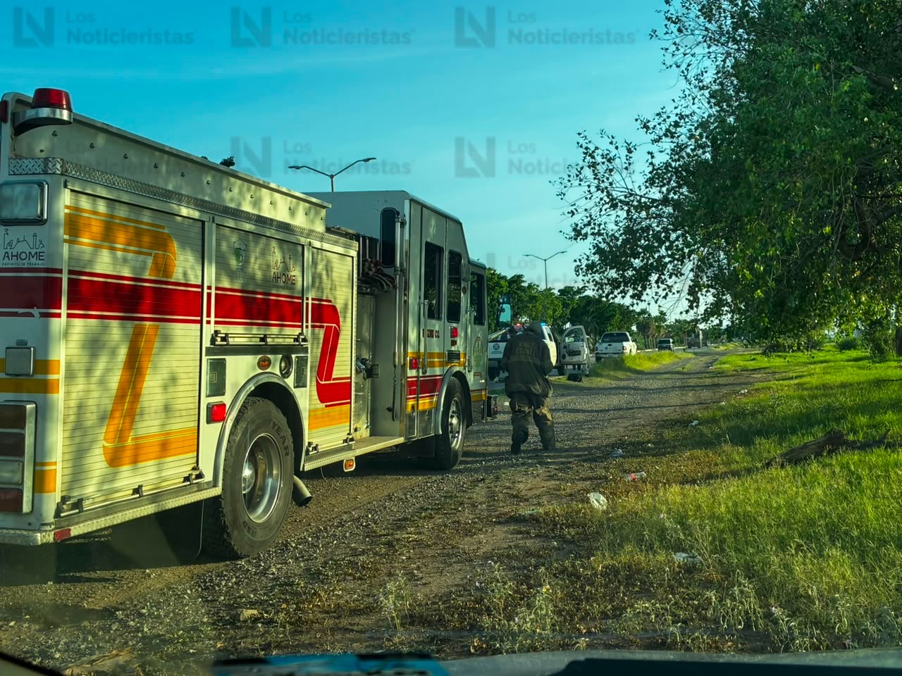 Ataque de abejas en Los Álamos de Los Mochis