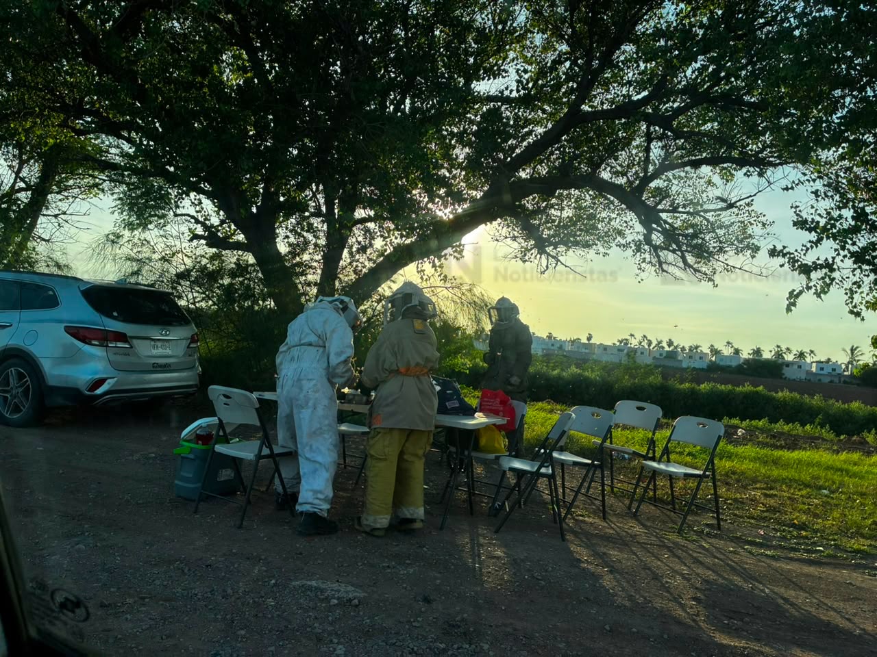 Ataque de abejas en Los Álamos de Los Mochis