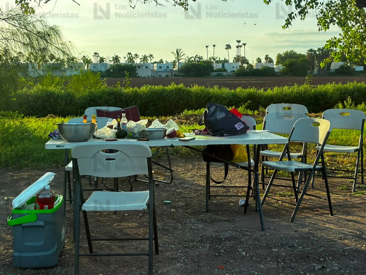 Ataque de abejas en Los Álamos de Los Mochis
