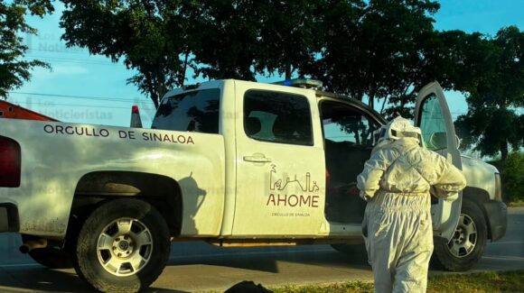 Protección Civil atiende hasta 10 servicios diarios en Ahome, Sinaloa, ante la presencia de enjambres