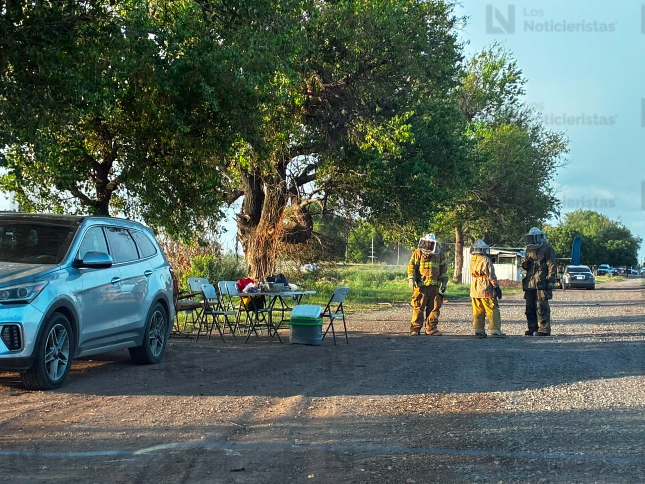 Ataque de abejas en Los Álamos de Los Mochis