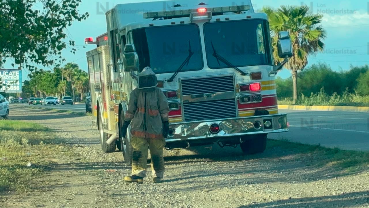 Ataque de abejas en Los Álamos de Los Mochis