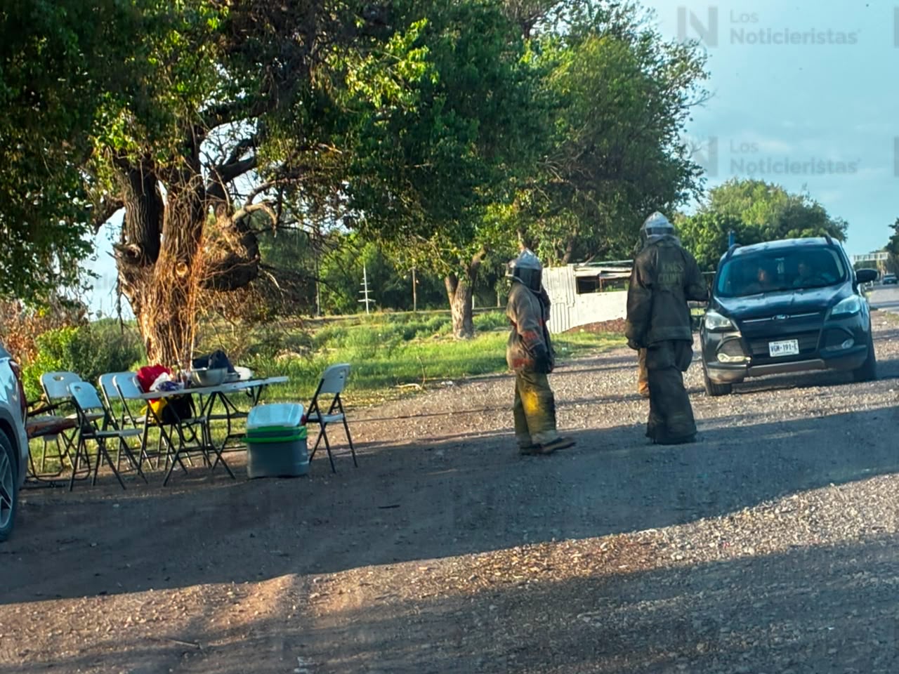 Ataque de abejas en Los Álamos de Los Mochis