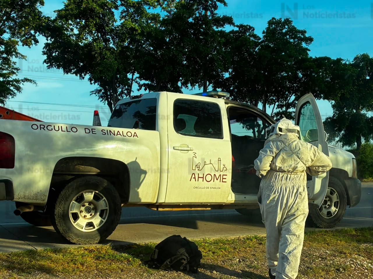 Ataque de abejas en Los Álamos de Los Mochis