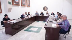auditora superior del estado la licenciada emma guadalupe felix rivera sesion