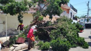 basura por lluvias en culiacan