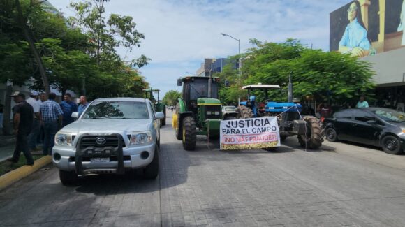 Productores agrícolas en Ahome reclaman justicia ante fraude de sus cosechas