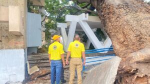 caida de arboles cortes de energia y cierre vial en guasave sin