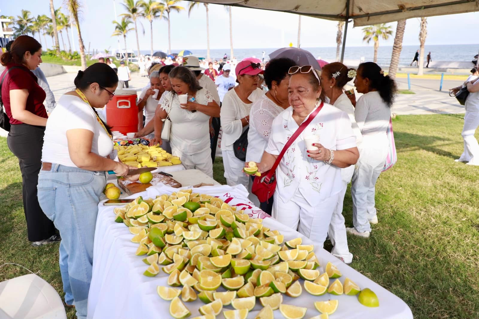 Caminata "Huellas de Vida" por el Día de las y los Abuelos" en Mazatlán