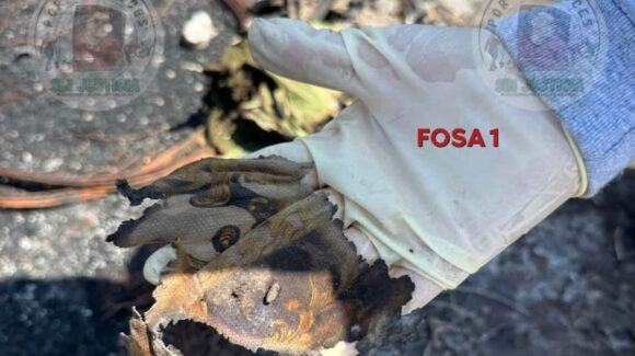 Búsqueda positiva en Ceuta, Elota, Sinaloa; localizan restos y pertenencias en dos fosas