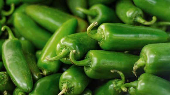 Se registra brote de salmonela en EU; FDA lo relaciona con chiles jalapeños presuntamente provenientes de Sinaloa