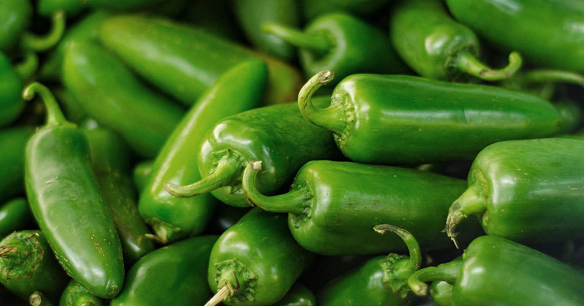 Chiles Jalapeños