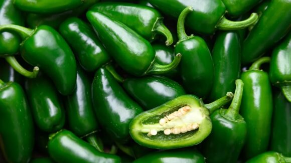 ¿El chile jalapeño mexicano provocó el brote de salmonela en Estados Unidos? Esto encontró Cofepris