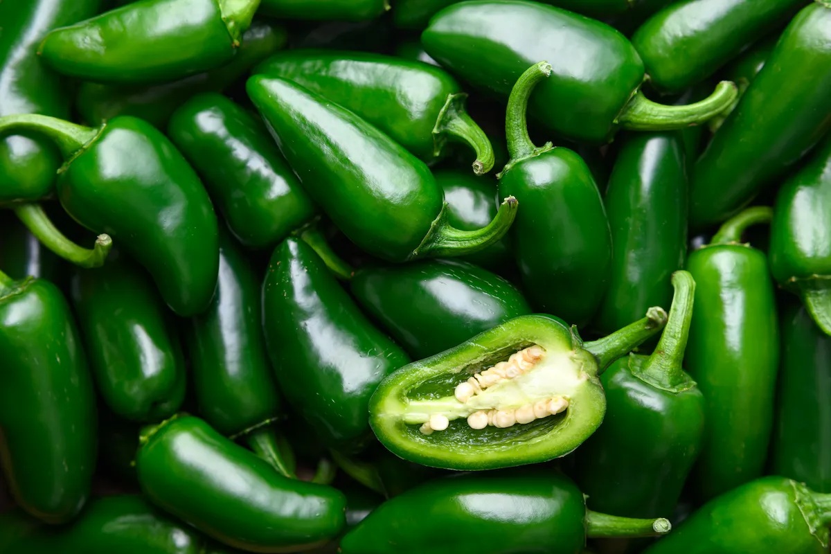 Chiles jalapeños