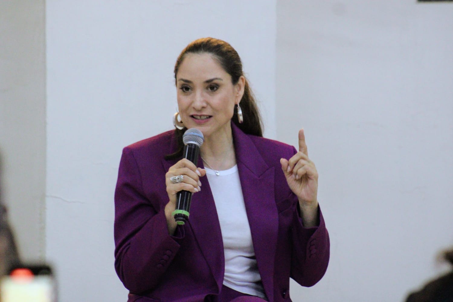 Claudia Curiel Icaza, secretaria de Cultura del Gobierno de México