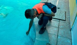 Coepriss suspende alberca privada en Culiacán