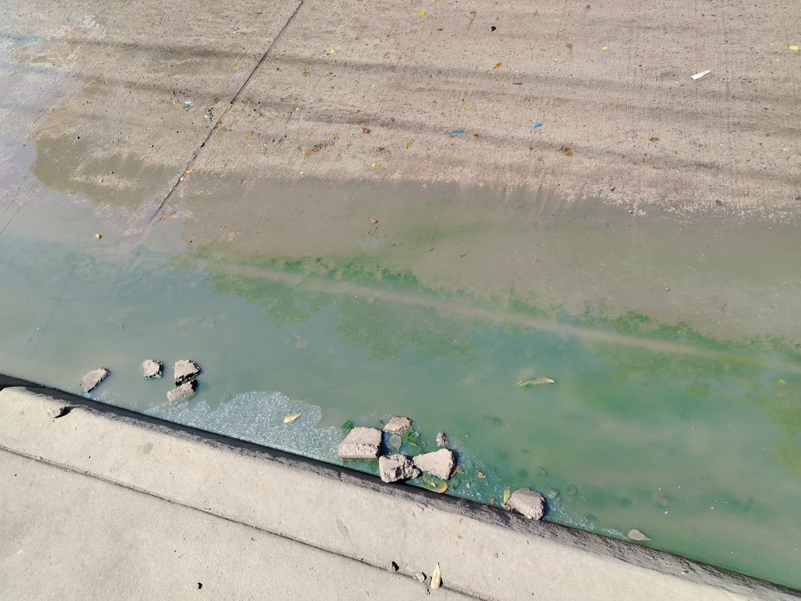 Congeladora en la Raul Romanillo de Los Mochis