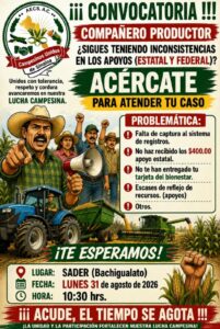 Manifestación