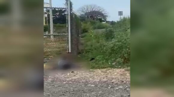 Encuentran el cuerpo de un hombre sin vida en camino a Walamo–Villa Unión, en Mazatlán