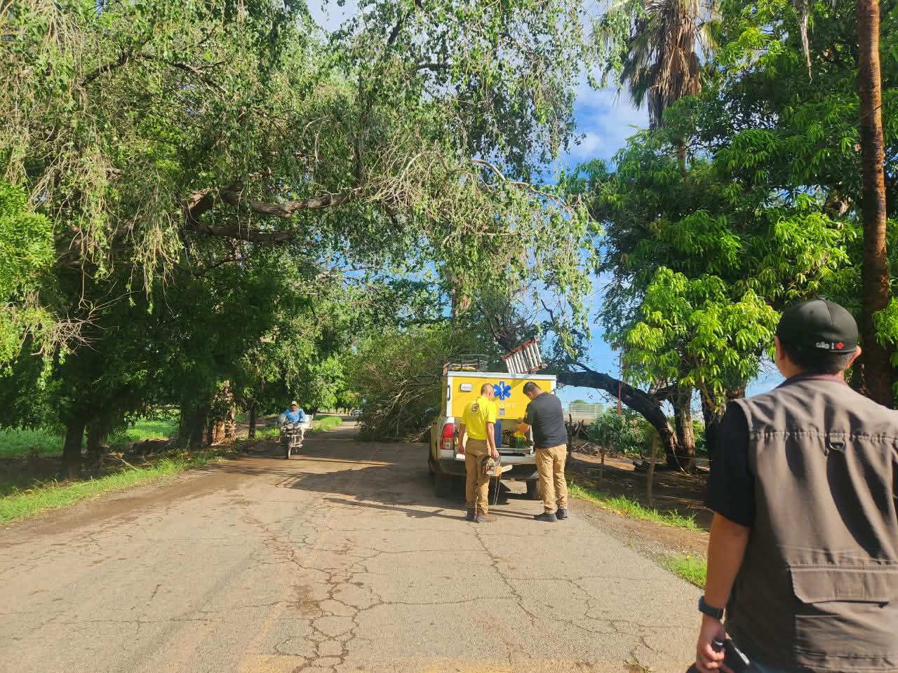 Daños por lluvias en Guasave