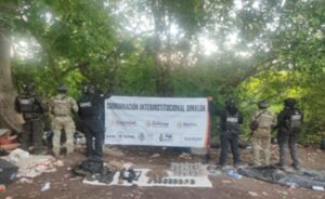 Decomisos en Mazatlán