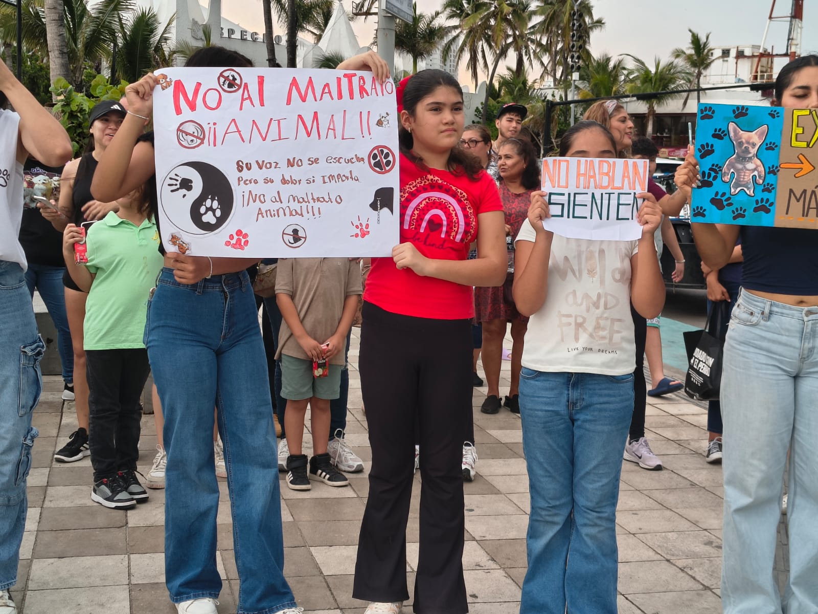Defensores de animales marchan en Mazatlán
