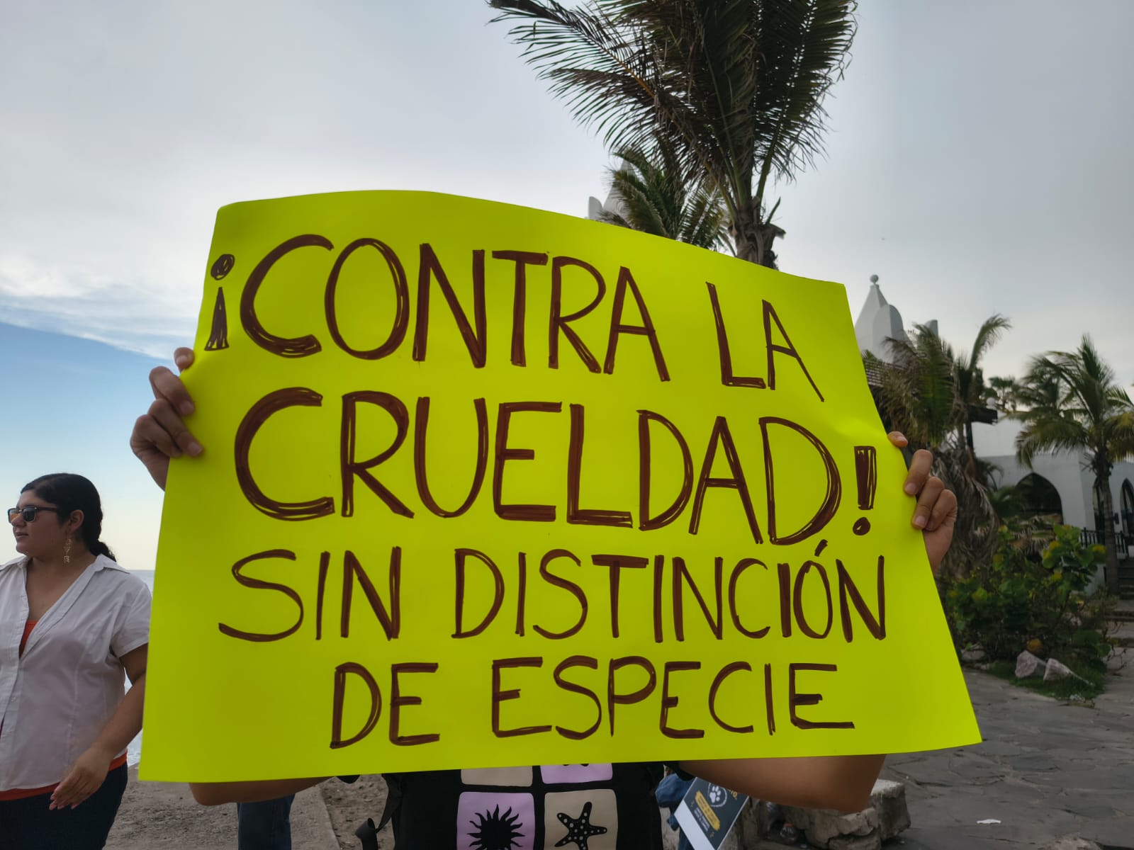 Defensores de animales marchan en Mazatlán