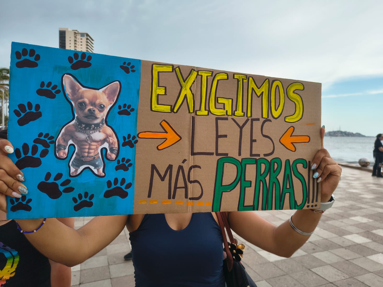 Defensores de animales marchan en Mazatlán