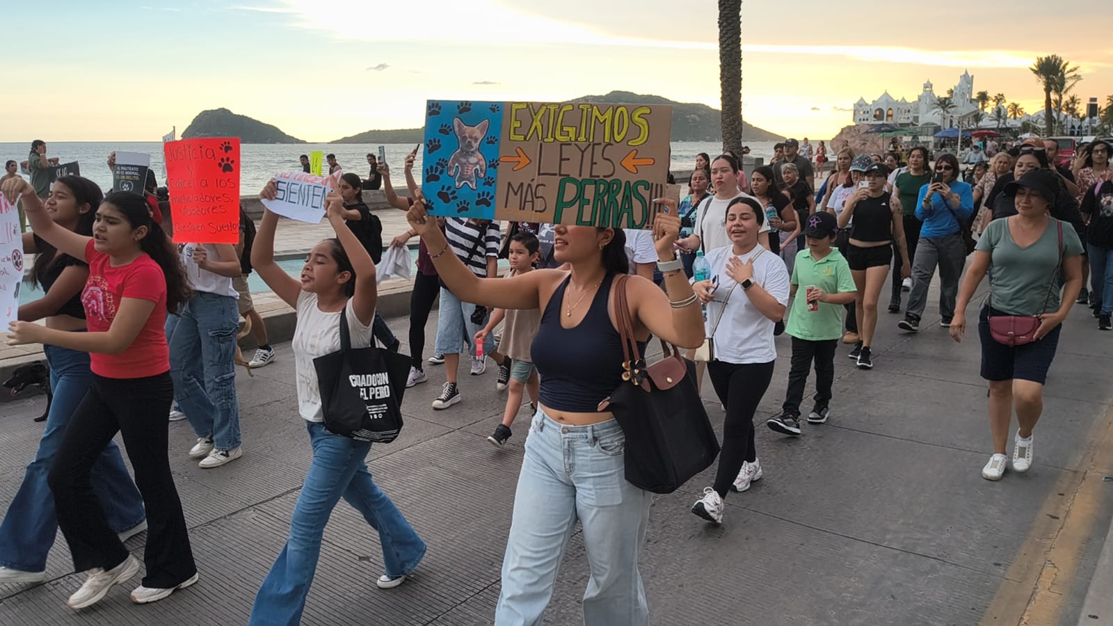 Defensores de animales marchan en Mazatlán