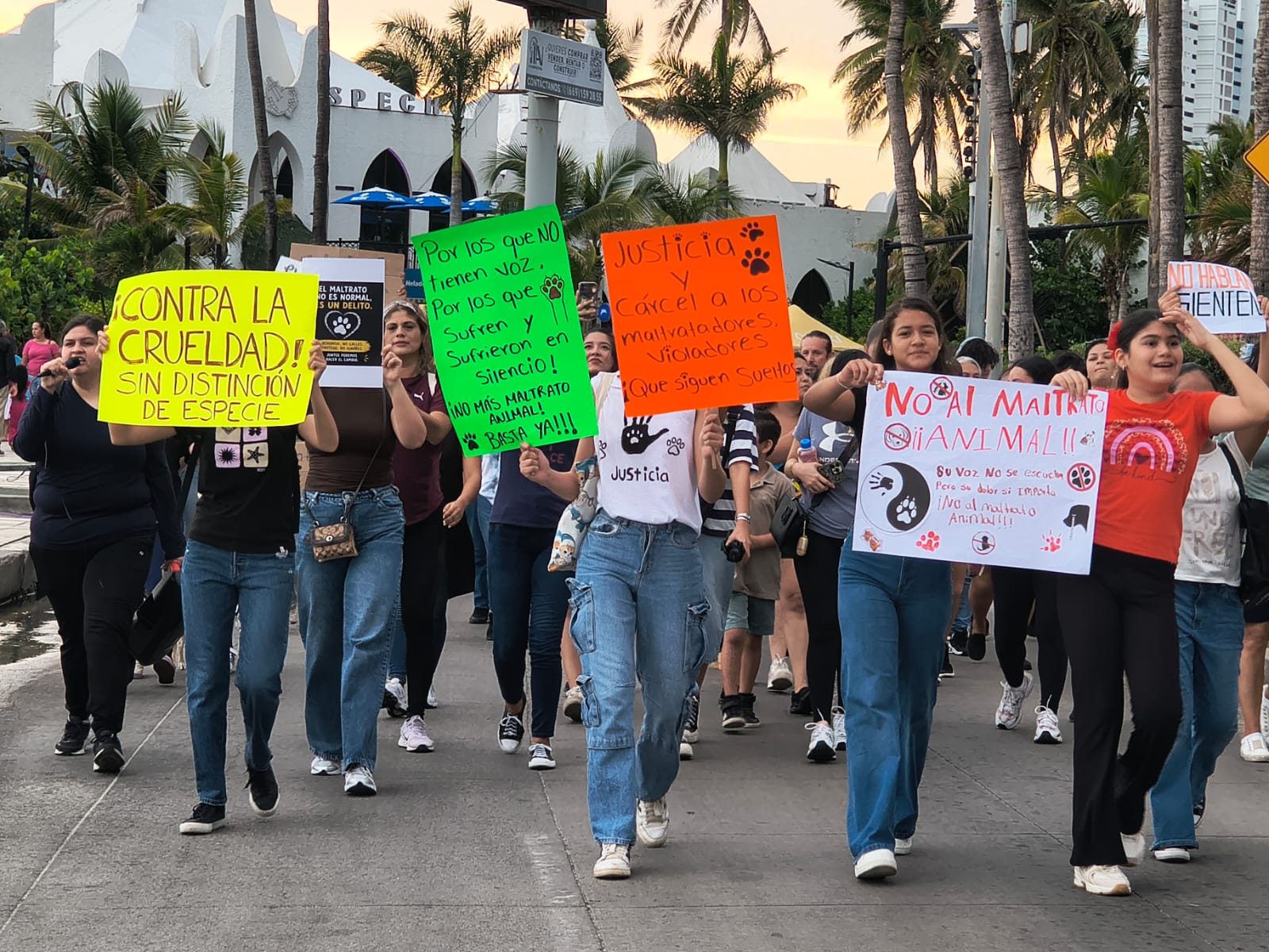 Defensores de animales marchan en Mazatlán