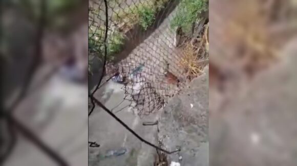 Vecinos de Juntas del Humaya tiemblan cada vez que llueve; un arroyo natural está por hacer caer su casa en Culiacán, Sinaloa
