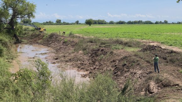 Desazolvan dren Cabrera tras petición ciudadana para prevenir inundaciones en La Trinidad, Guasave, Sinaloa