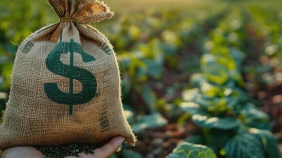 “Cuando al productor le va mal, el problema no termina en la parcela”: COUC: crisis del campo está afectando economía en municipios
