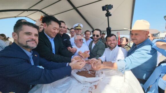 Embarcan un millón 200 mil toneladas de sorgo sinaloense desde Topolobampo con destino a China