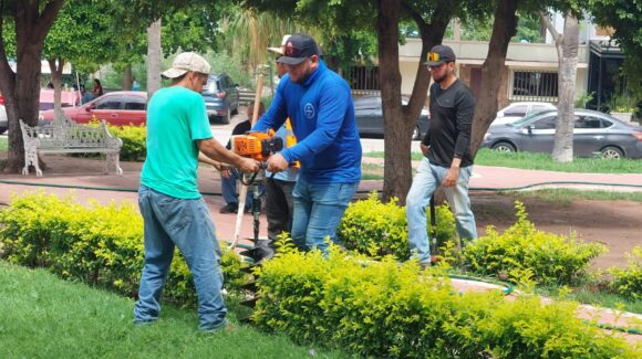 Avanza embellecimiento de camellones y bulevares en Salvador Alvarado, Sinaloa