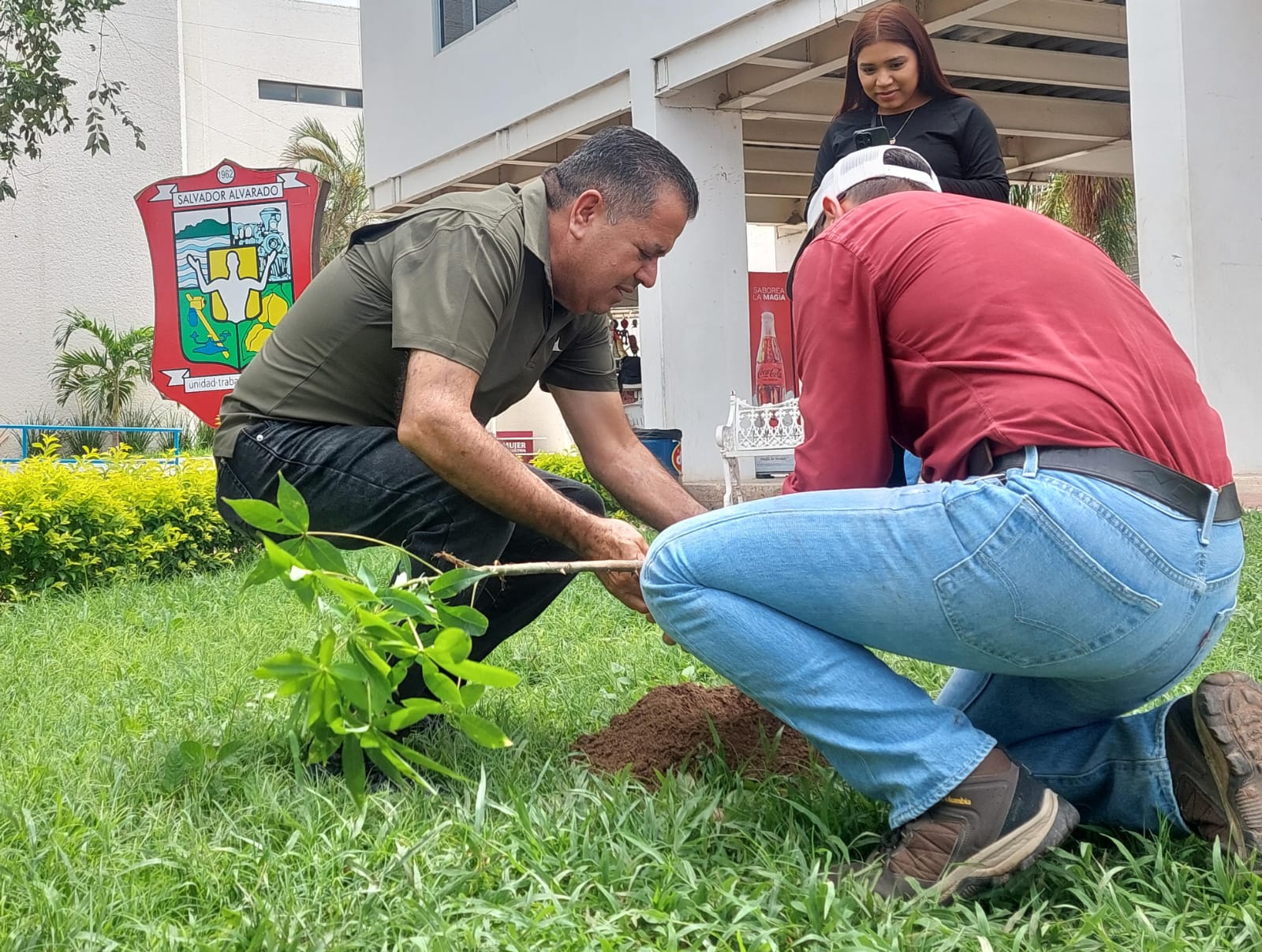 Embellecimiento de jardines y plantación de árboles en Salvador Alvarado