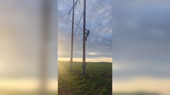 Entra en operación la Subestación Santa Fe; CFE fortalece el suministro eléctrico para más de 51 mil habitantes en Sinaloa