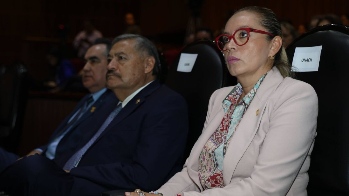entrega uas sus estados financieros auditados e informes de avances academicos 2025 mujer